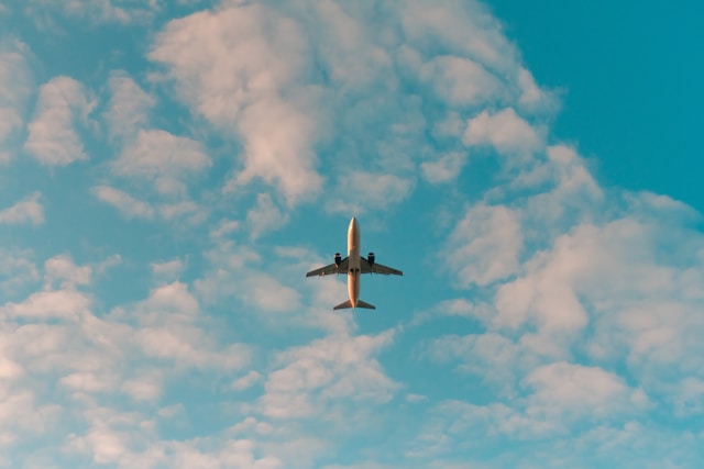 Can Flying Cause Vein Problems? A Guide for Travelers